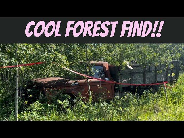 OLD TRUCK FOUND IN THE WOODS AFTER 20 YEARS!!