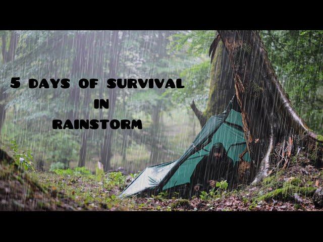 Cozy Camping: 5 Days of Survival in the Rain with a Bushcraft Shelter.