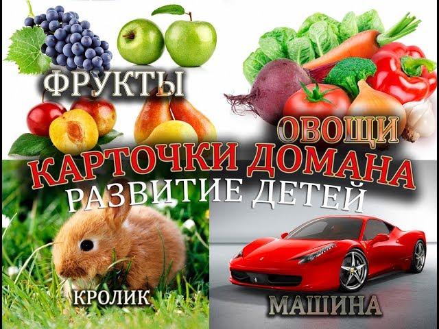 Сборник! НОВЫЕ Карточки Домана, Игрушки, Животные,  Овощи, Фрукты, Мебель, Действия, Алфавит