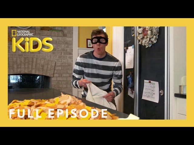 The Case of the Stolen Bike | Weird But True! | S1 E16 | Full Episode | @natgeokids