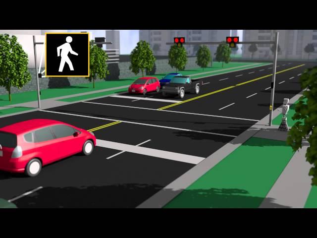 How To Use A Pedestrian Hybrid Beacon - Animation