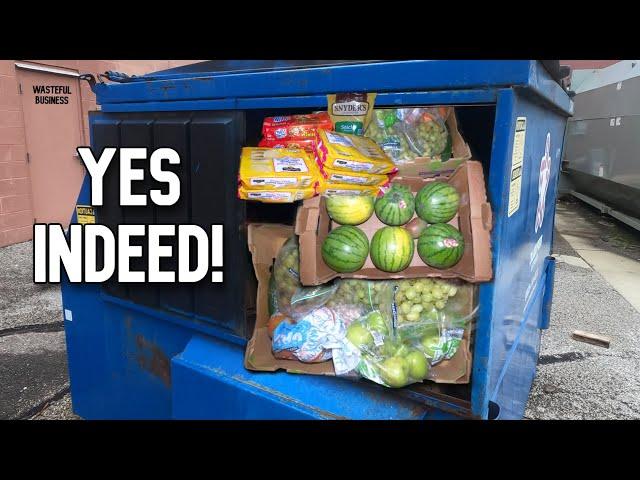 Dumpster Diving-  Watermelons and Cookies and MORE! + The Critter Cam