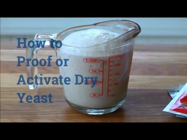 How to Proof or Activate Dry Yeast