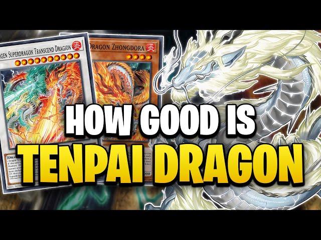 How Good is the TENPAI DRAGON Archetype?