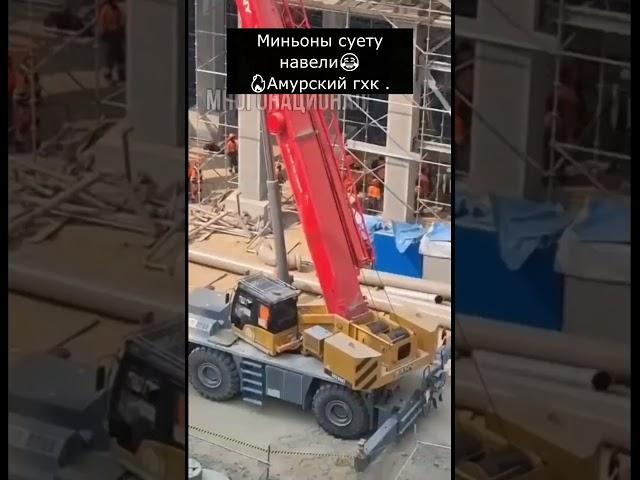 Миньоны суету навели. Амурский гхк .
