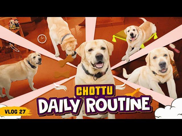 Chottu உடன் ஒரு நாள்  | Chottu Daily Routine | Vlog 27 | Mr Chottu