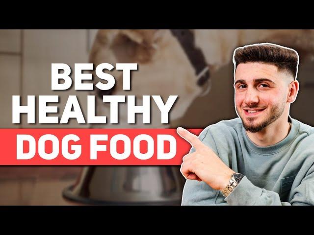 Best Healthy Dog Food in 2024