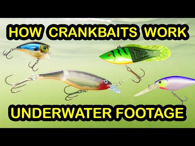 How To Fish Crankbaits and Types of Crankbaits - Underwater Fishing Lures & Crankbait Tips