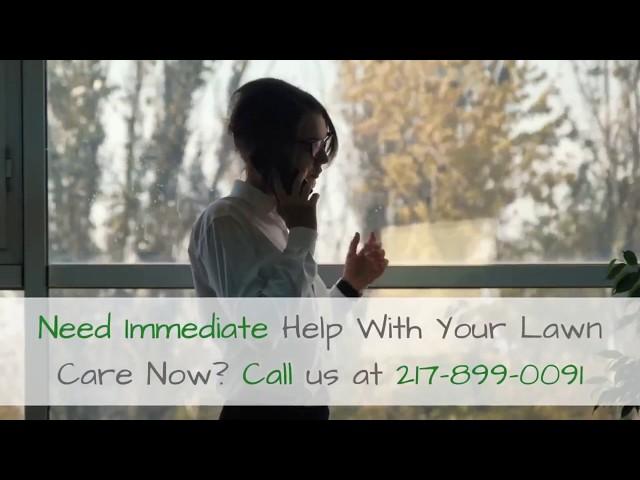 Lawn Care Springfield IL - Cutting Edge Yard Service - 217-899-0091