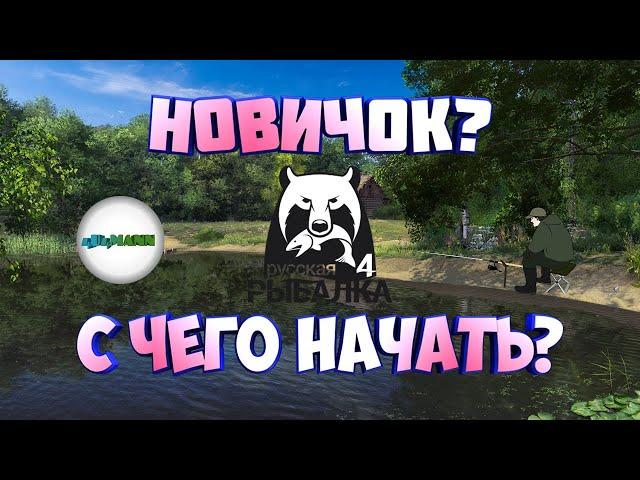 РУССКАЯ РЫБАЛКА 4 (RUSSIAN FISHING 4) - ГАЙД ДЛЯ НОВИЧКА. С ЧЕГО НАЧАТЬ?