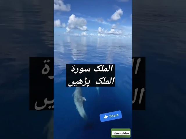جو شخص اپنی حاجت پوری کرنا چاہے وہ یہ وظیفہ پڑھے