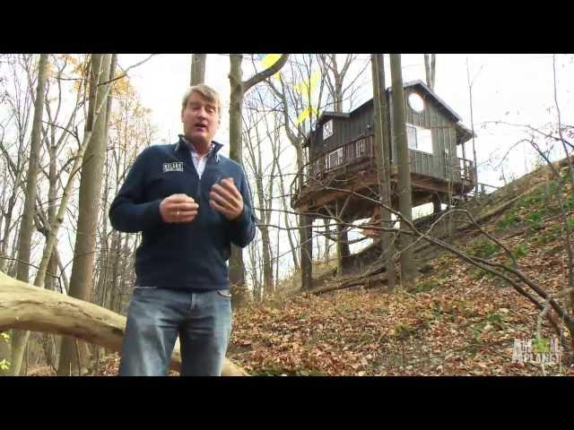 Behind The Build: Wild Butterfly Escape | Treehouse Masters