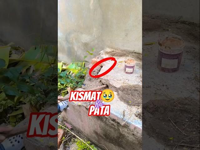 Kismat  ka pata #love #motivational #thegreatindiantaste #amritakash #comedy #gardening #digging