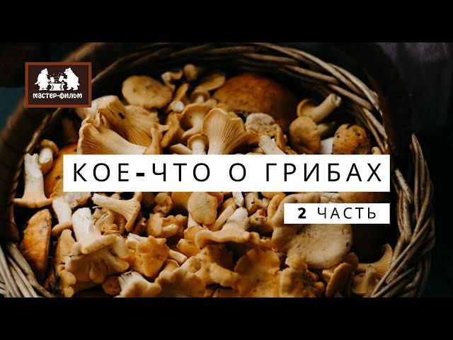 Кое-что о грибах. 2 серия (2011)