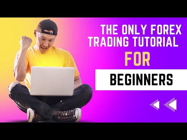 Full Comprehensive Forex Trading Tutorial For Beginners || Exness ||