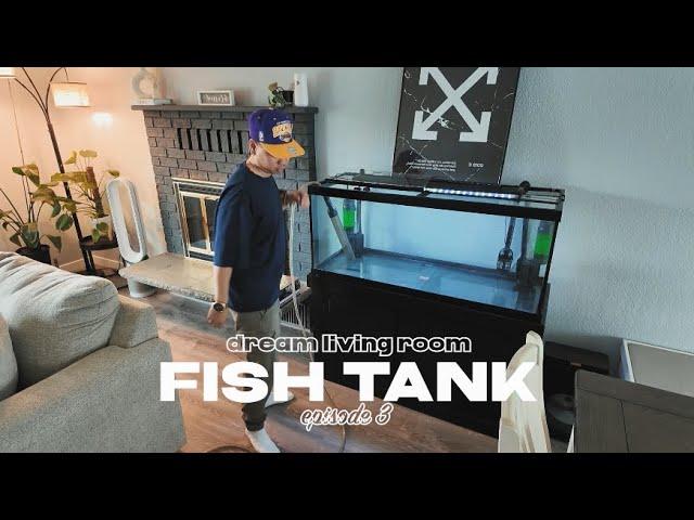 75 Gallon Aquascape Freshwater Community Fish Tank | Episode 3