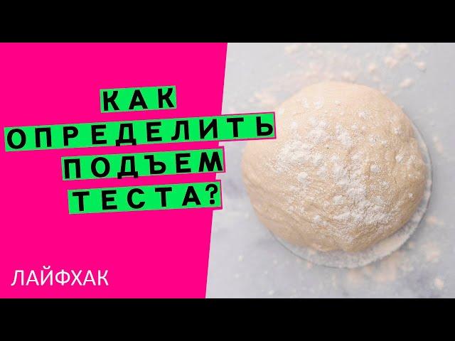 Подъем теста: как точно его определить? Делюсь лайфхаком 