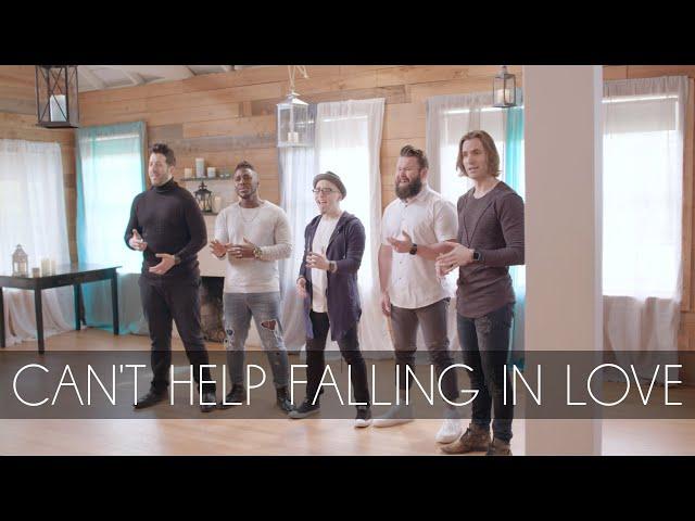 Can't Help Falling In Love | VoicePlay A Cappella