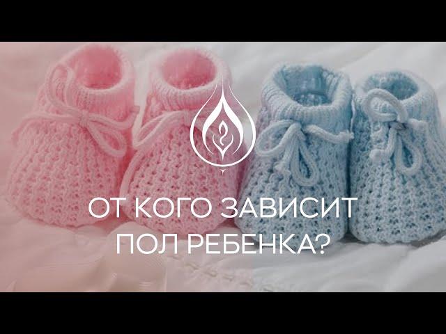 ​‍️​ От кого зависит пол ребенка?