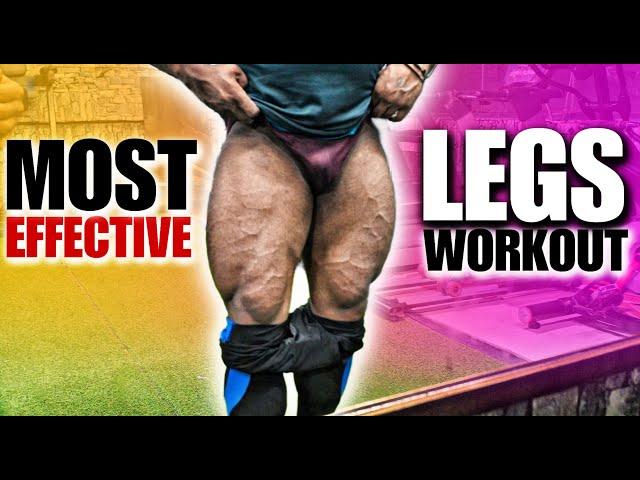 Most Effective Legs Workout  | By Vimal Deep Fitness | Day 5