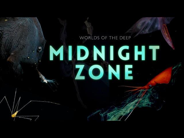 Into the Midnight Zone: Secrets of the Ocean Void