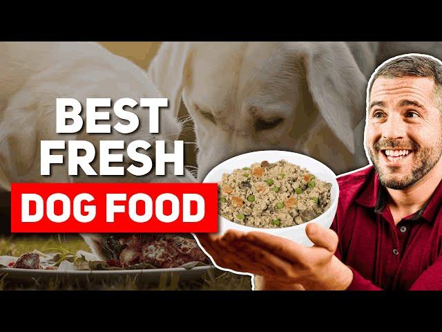 Best Fresh Dog Food Brands (2025)