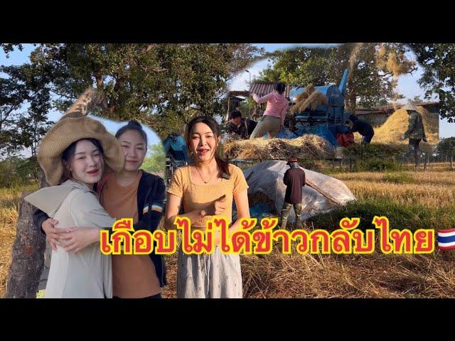 สิ้นสุดการรอคอย รถนวดข้าวของไทยไวทันใจจริงๆ11 พฤศจิกายน 2567