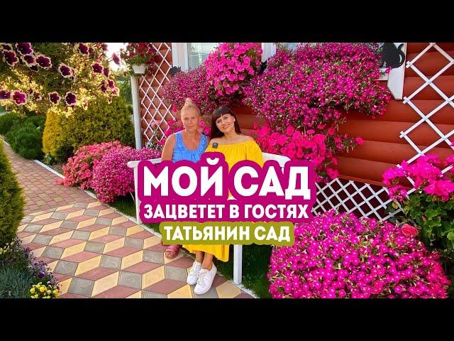 Мой сад.  Зацветет в гостях. Татьянин Сад 2020