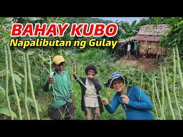 BAHAY KUBO SA BUNDOK SA WAKAS NAABUTAN KO NARIN MAY-ARI | Nagluto ng Nilagang saging na may Talong