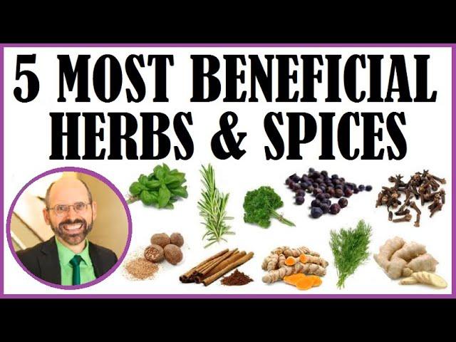 The 5 Most Beneficial Herbs & Spices!