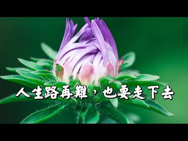 【人生路再難，也要走下去！】獻給很累的你，句句經典，一定要看！