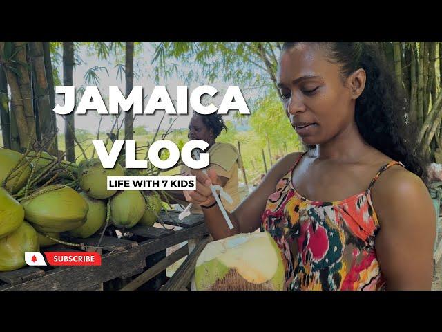 Adventures in Jamaican Family Life with 7 Children | LIVING IN JAMAICA VLOG