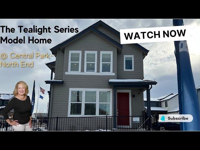 Tealight Portfolio Model Home Tour