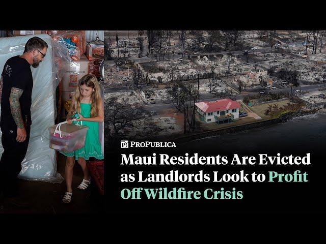 Maui Residents Have Been Evicted as Landlords Look to Profit Off Wildfire Crisis