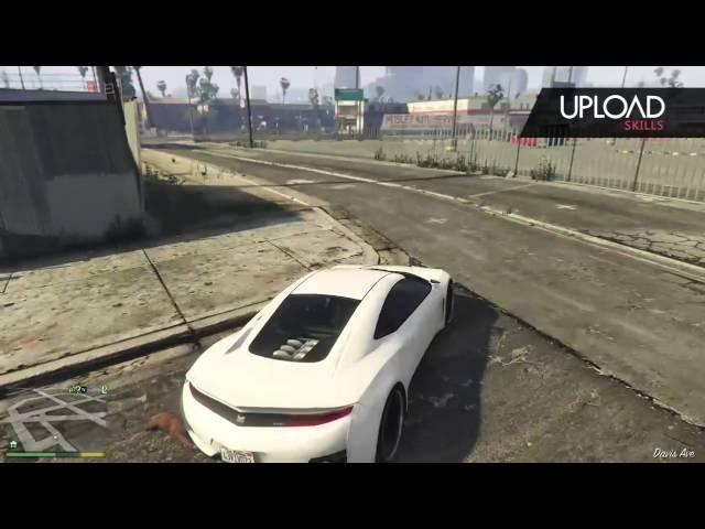 GTA V Cats Also Have 9 Lives
