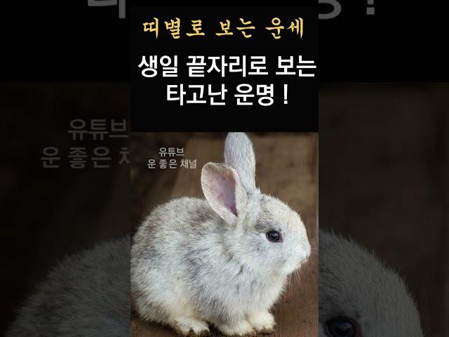 2025년 3월 기묘월 운 좋은 토끼띠 운세! 띠별운세! 띠별로 보는 한달간 운세! #띠별운세 #2025년운세