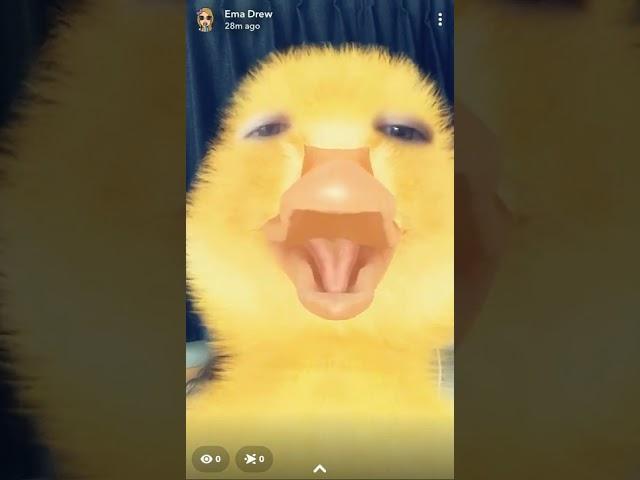 A Duck Sings The Duck Song