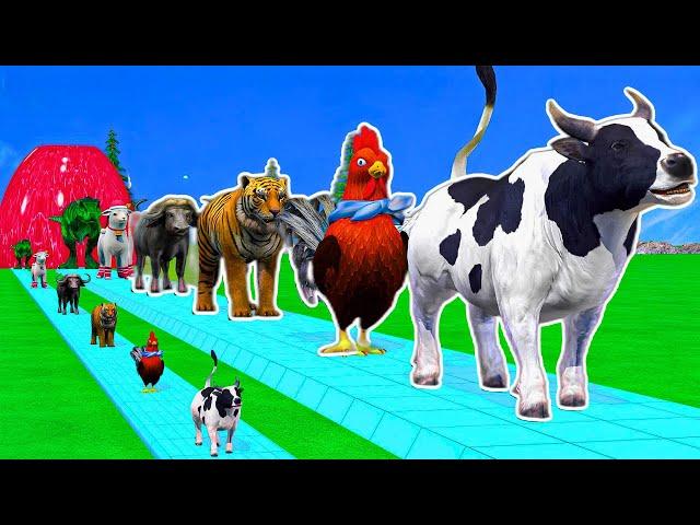 Animal Dance Song | BabyRobyRoby | Nuersery Rymes & Kids Songs