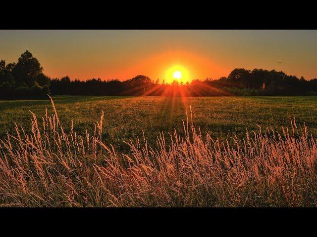 Nature Video 30 Seconds|WhatsApp Status Video|Nature Background Videos