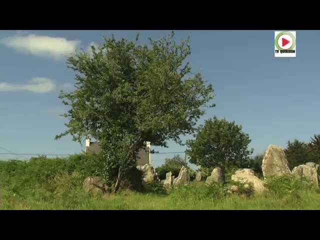 ERDEVEN |   Les Menhirs sauvages de Kerzerho  | Bretagne Télé