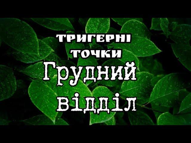 Грудний відділ. Тригерні точки