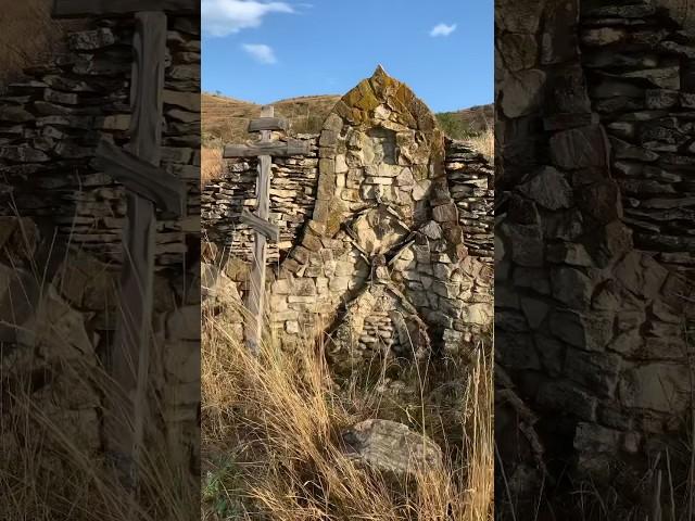 Сегодня обнаружила непонятное что это #каляныч #крымский #крымскийкаляныч
