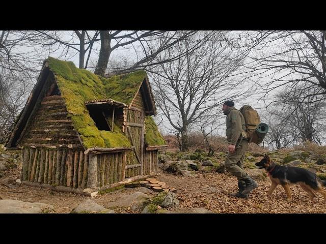 I Spent 100 Hours Building a Log Cabin in the Wilderness