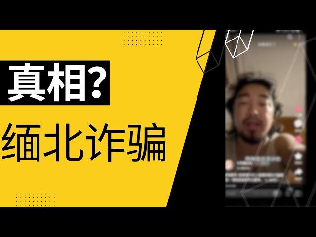 峰哥：我希望14亿人能看到缅北诈骗视频 ｜Reaction vedio