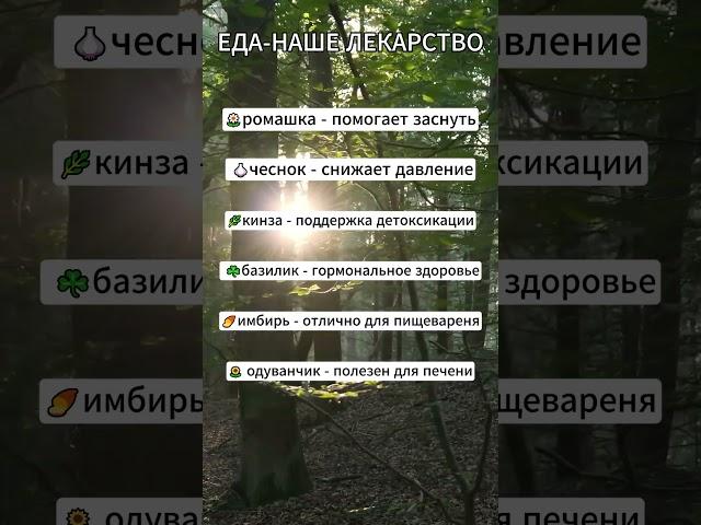 ЕДА- НАШЕ ЛЕКАРСТВО #здоровье #здоровоепитание #правильноепитание #пп #здоровыйобразжизни #продукты