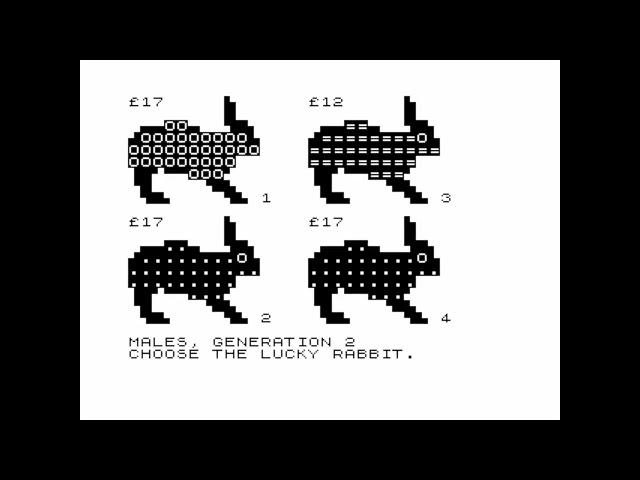 Rabbits for the ZX81