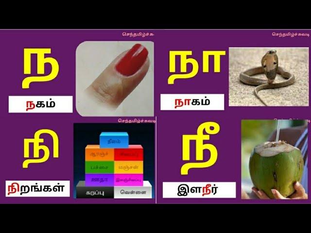 தமிழ்|உயிர் மெய் எழுத்துக்கள்|ந நா நி நீ வரிசை சொற்கள்/செந்தமிழ்ச்சுவடி