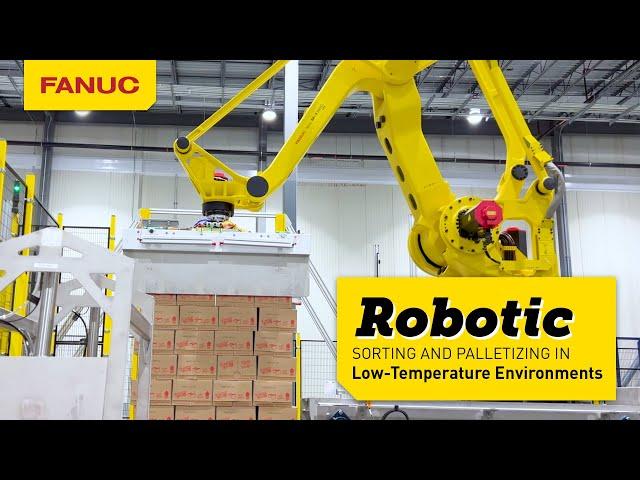 Robotic Ice Cream and Frozen Dessert Sorting and Palletizing