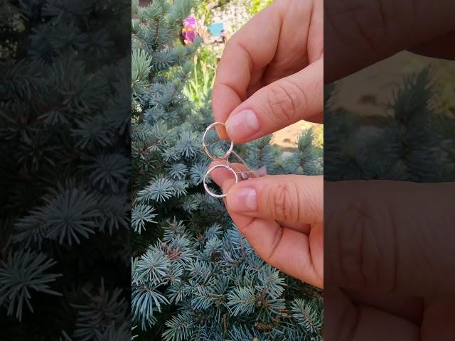 Серьги конго из серебра