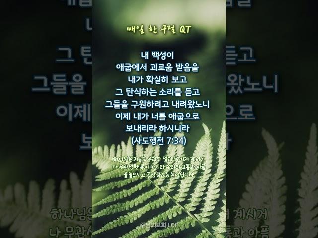 매일 한구절 QT로 주님과 동행하는 하루 (#행7:34)